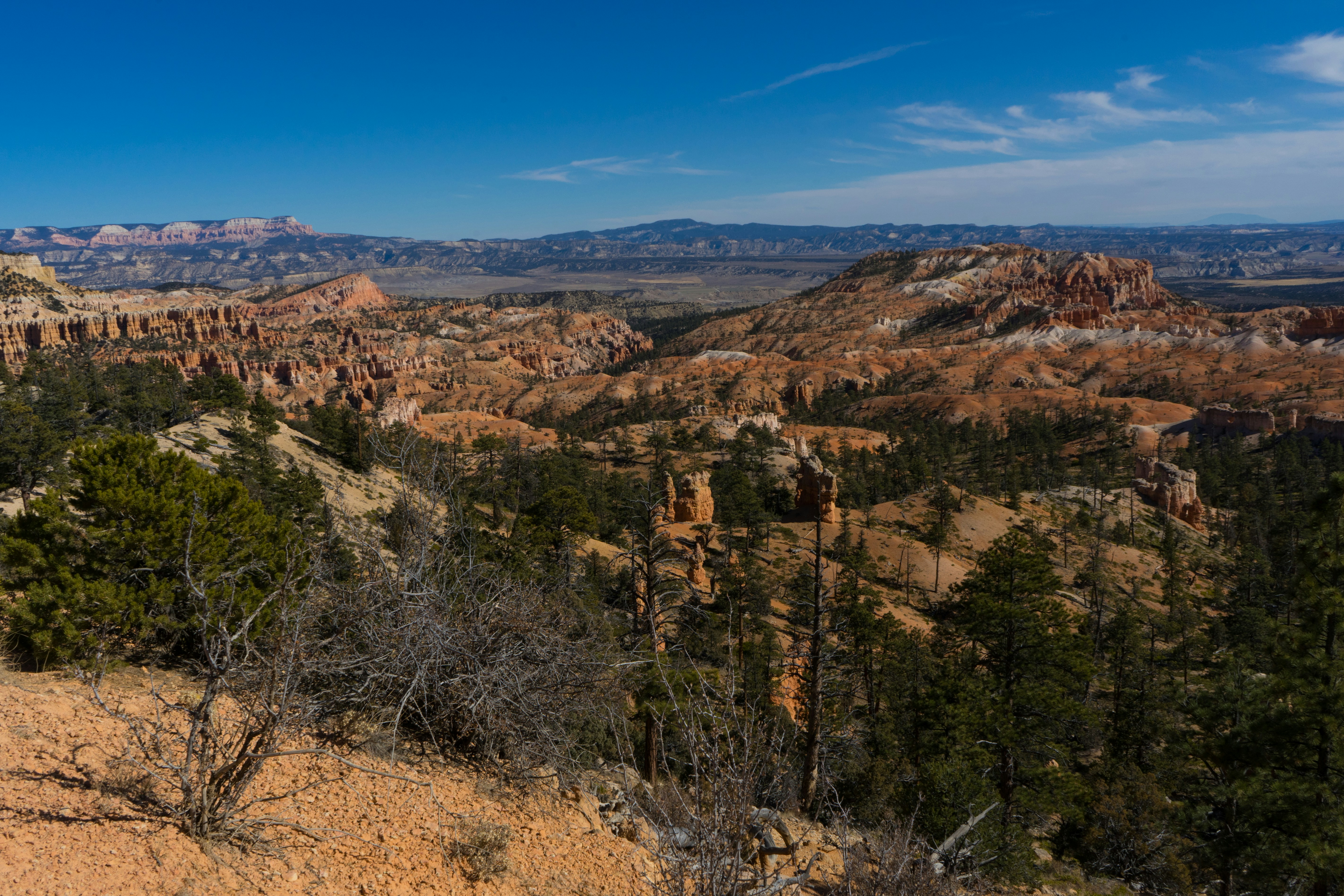 Bryce Canyon National Park, Utah, USA
